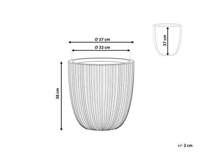 Plan & Dimensions