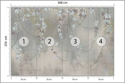 Plan & Dimensions