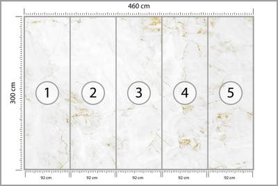 Plan & Dimensions