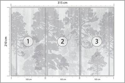 Plan & Dimensions