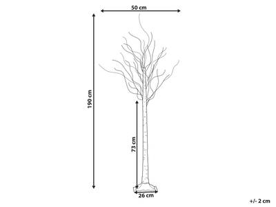 Plan & Dimensions