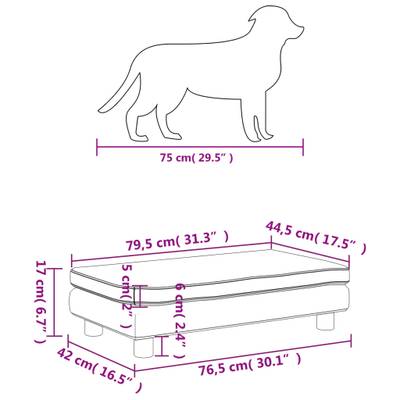 Plan & Dimensions