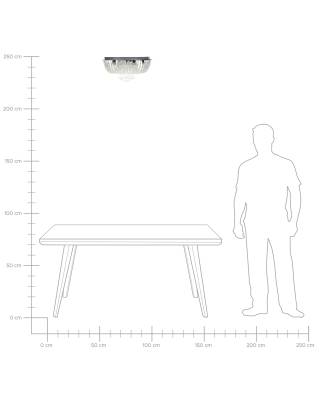 Plan & Dimensions