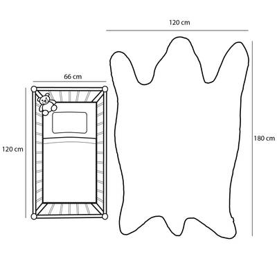 Plan & Dimensions