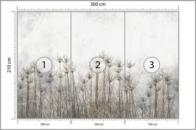 Plan & Dimensions