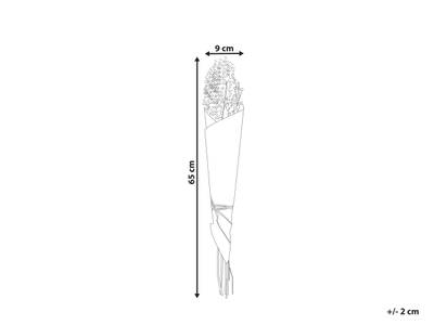 Plan & Dimensions