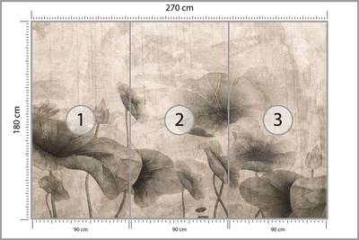 Plan & Dimensions