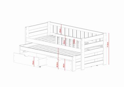 Plan & Dimensions