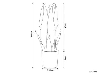 Plan & Dimensions