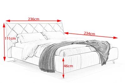 Plan & Dimensions