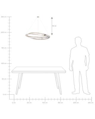 Plan & Dimensions