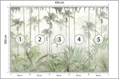 Plan & Dimensions