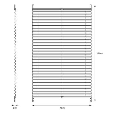 Plan & Dimensions