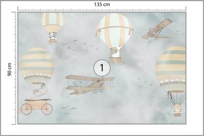 Plan & Dimensions