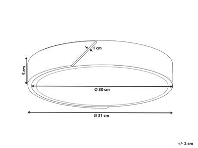 Plan & Dimensions