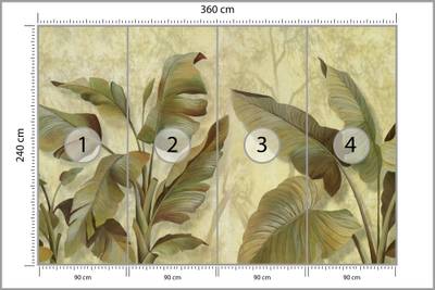 Plan & Dimensions