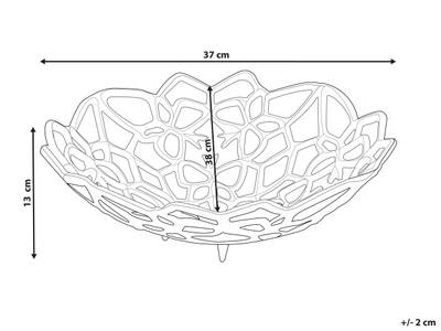 Plan & Dimensions