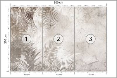 Plan & Dimensions