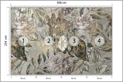 Plan & Dimensions