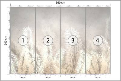 Plan & Dimensions