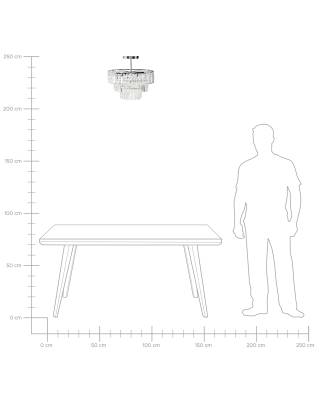 Plan & Dimensions