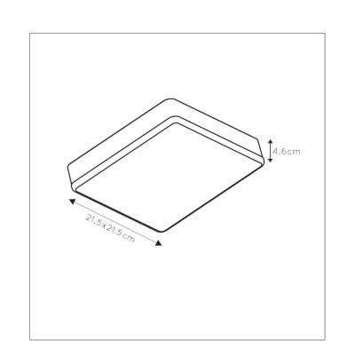 Plan & Dimensions