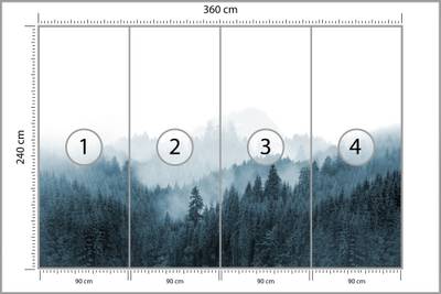 Plan & Dimensions