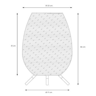 Plan & Dimensions