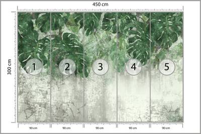 Plan & Dimensions