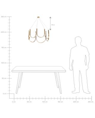 Plan & Dimensions