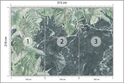 Plan & Dimensions