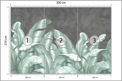 Plan & Dimensions