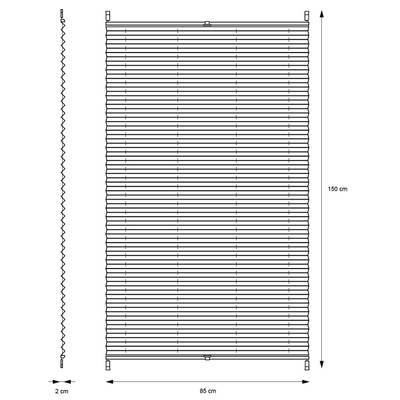 Plan & Dimensions