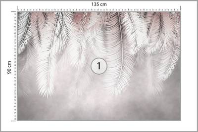 Plan & Dimensions