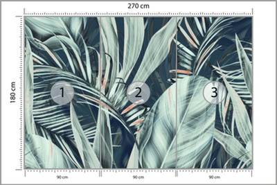 Plan & Dimensions