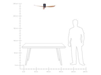 Plan & Dimensions
