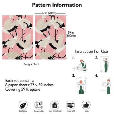 Plan & Dimensions