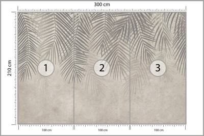 Plan & Dimensions