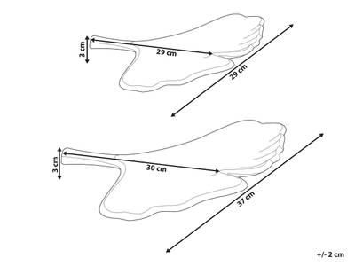 Plan & Dimensions