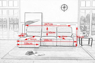 Plan & Dimensions