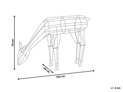 Plan & Dimensions