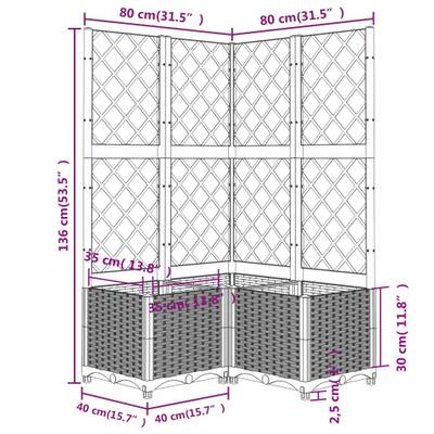 Plan & Dimensions