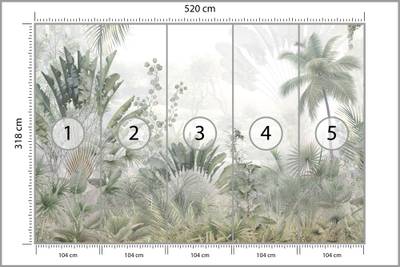 Plan & Dimensions