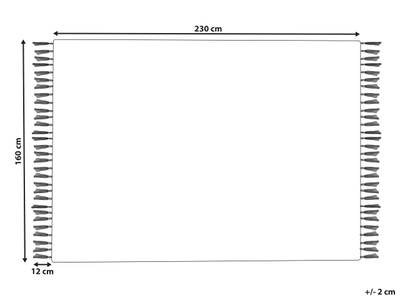 Plan & Dimensions