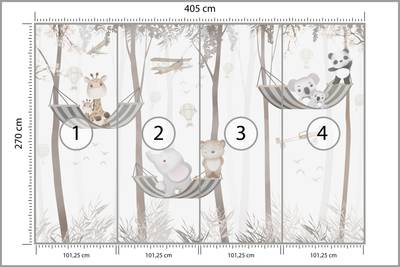 Plan & Dimensions