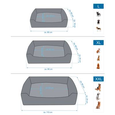 Plan & Dimensions