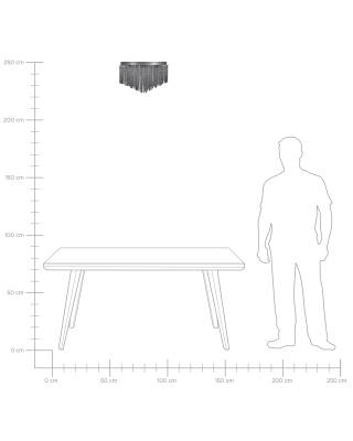 Plan & Dimensions