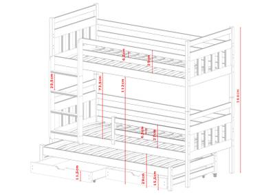 Plan & Dimensions