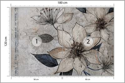 Plan & Dimensions