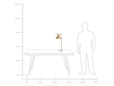 Plan & Dimensions